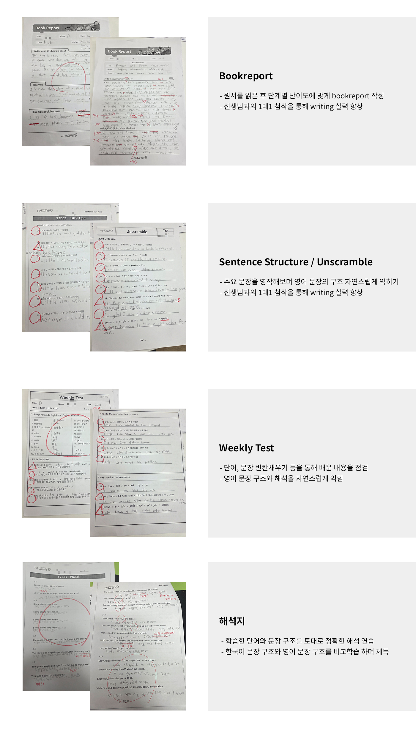Book Report 첨삭
